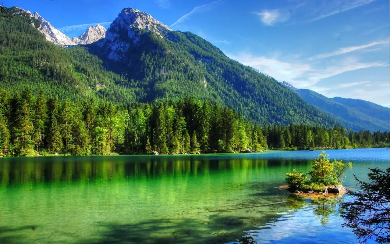 稳定性高标准