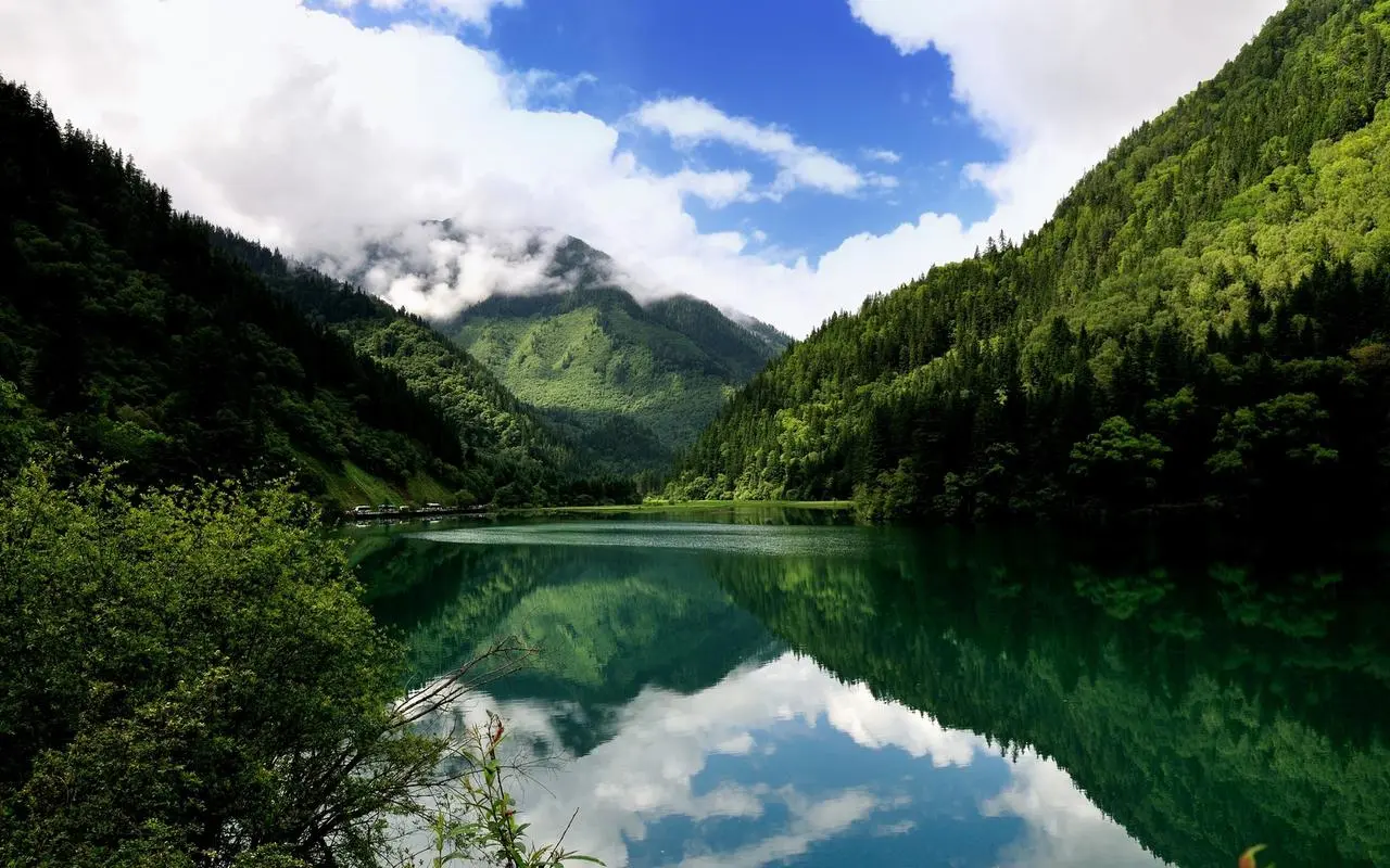 高标准高效